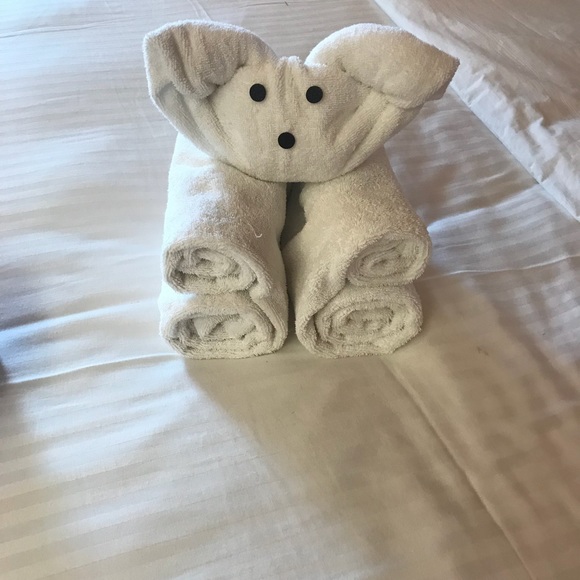 Meet your Posher, Meghan - Picture 1 of 1